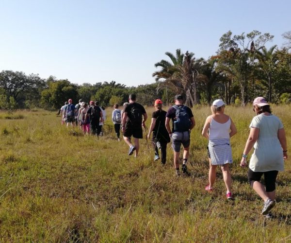 2 Hour Guided Nature Hike 2